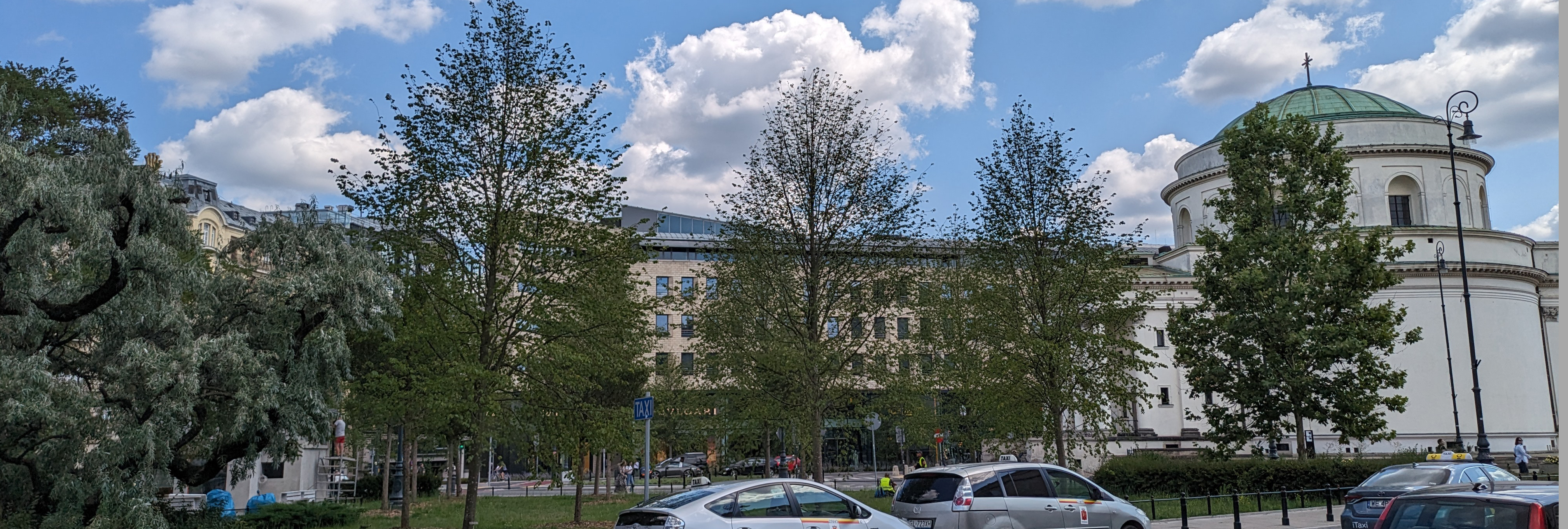 Stadtprojekt Park Großbaum Warschau EIn Park mit großen Bäumen in Warschau