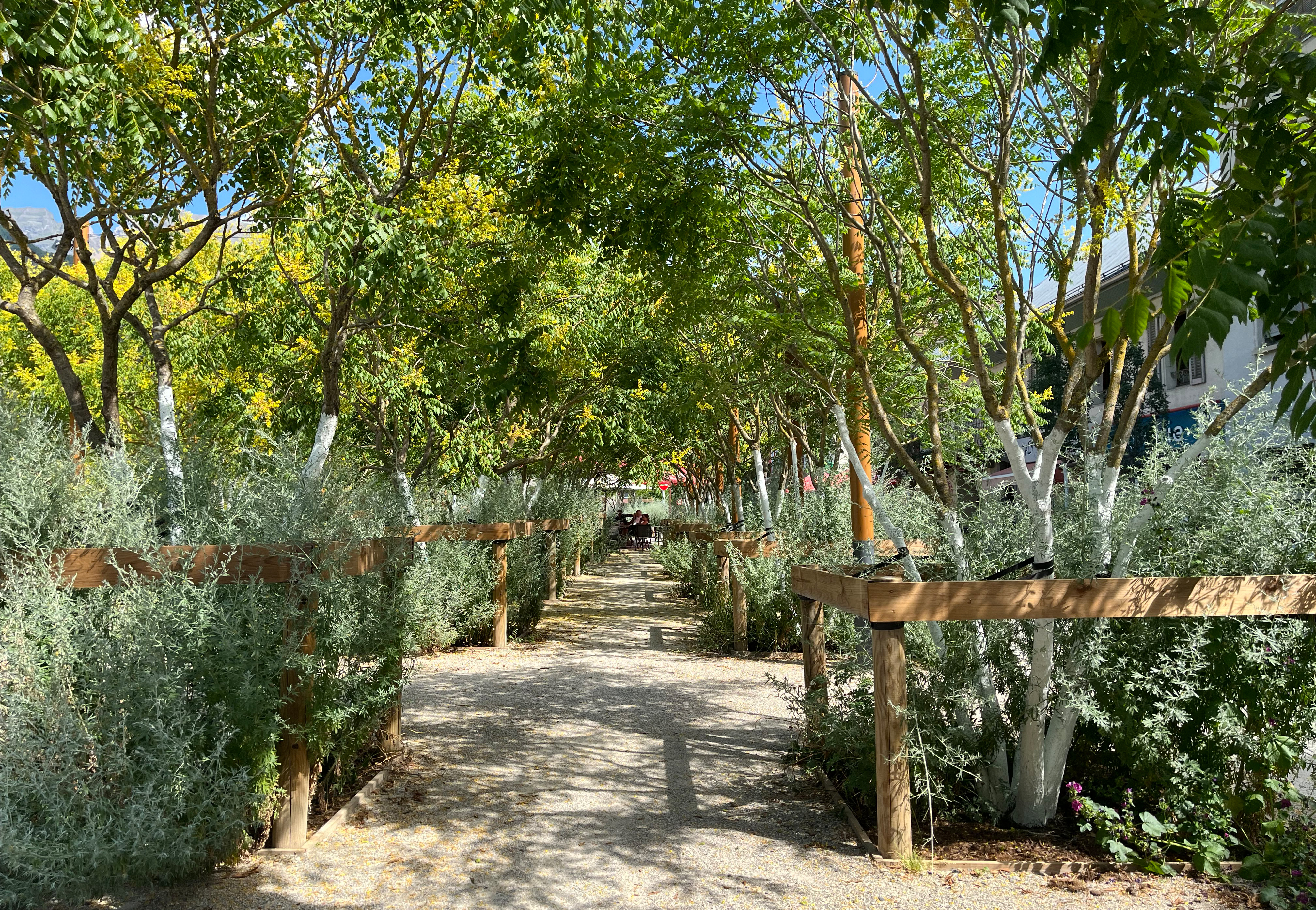 Ein grüner Tunnel aus Bäumen