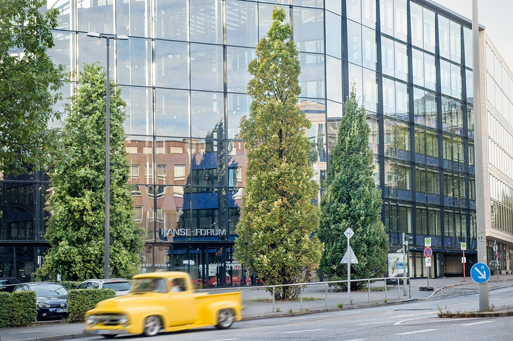 Große Bäume vor einer großen Glasfassade