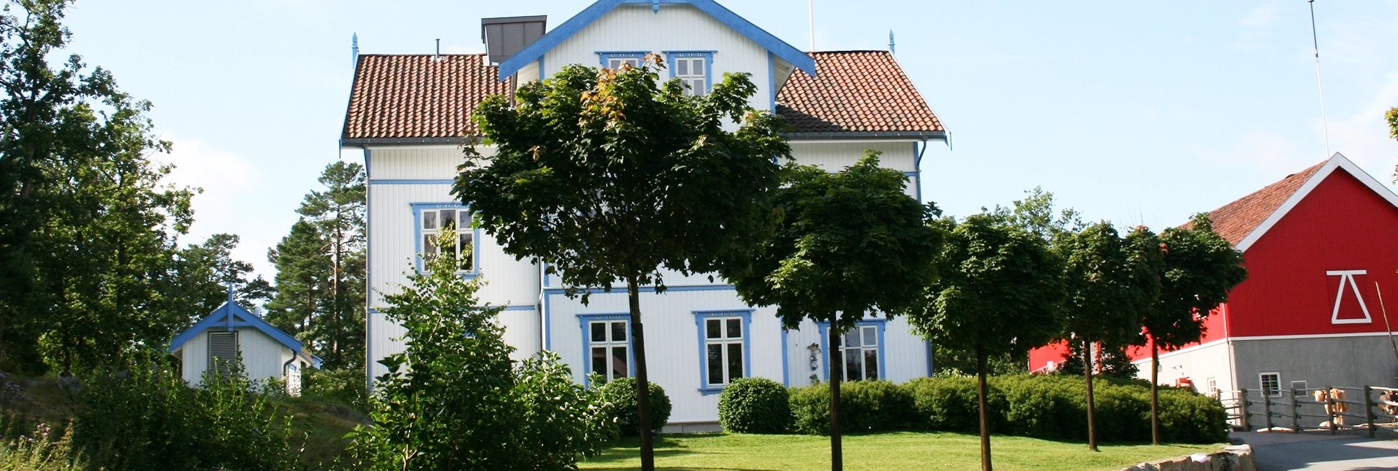 Hausbaum Hausbaum
