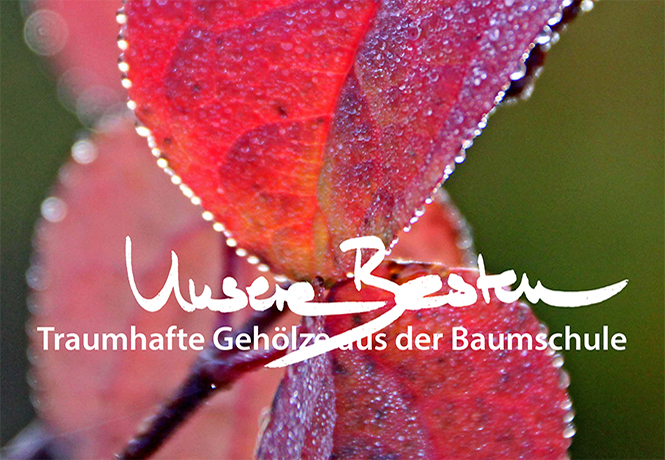 Titelbild Unsere Besten