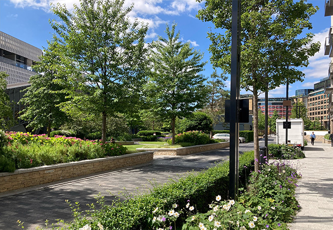 Beschatteter Platz in einem Wohngebiet