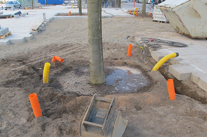 Behandeln von Gehölzen auf der Baustelle