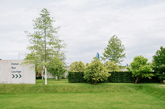 IM Hintergrund einer Rasenfläche stehen unterschiedliche Bäume und Hecken