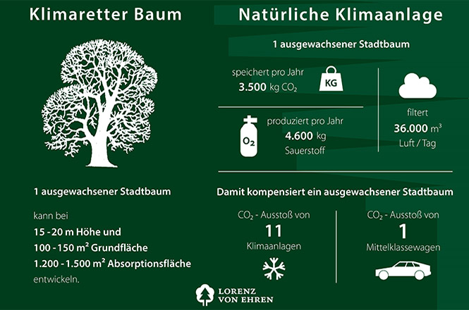 Klimaretter Diagramm Baum