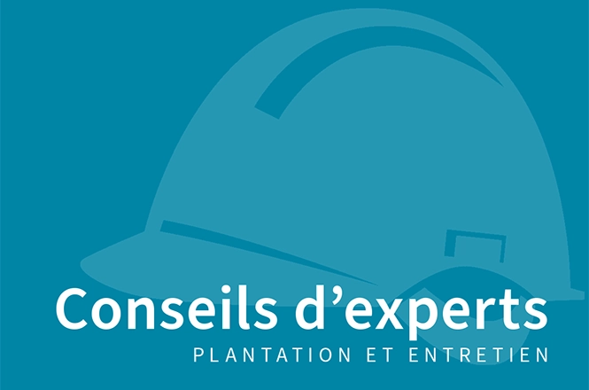 Pépinière Lorenz von Ehren La manufacture des arbres Les arbres, c‘est notre grande passion. Les arbres – les plantes ligneuses en général – sont pour nous bien plus qu’ un simple produit. Depuis près de 160 ans, la pépinière Lorenz von Ehren s’est consac