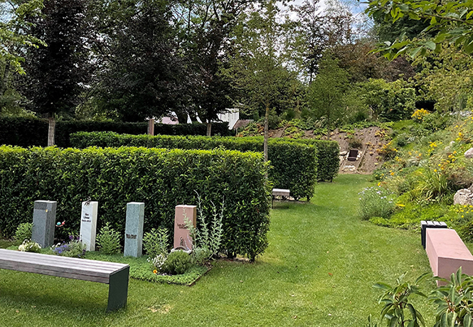 Ein Friedhof mit Hecken als Gliederung