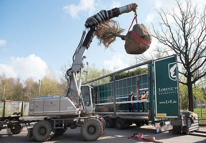 Seminar - Behandlung von Gehölzen auf der Baustelle - Schloss Dyck