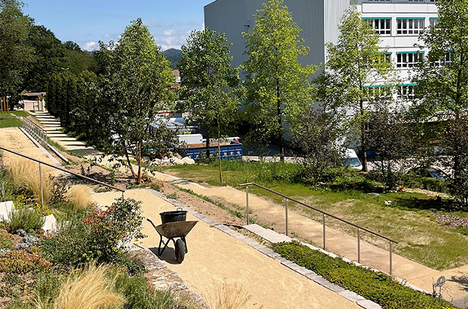 Projektzwischenstadium: der Freidhof wird angelegt mir gorßen Bäumen.