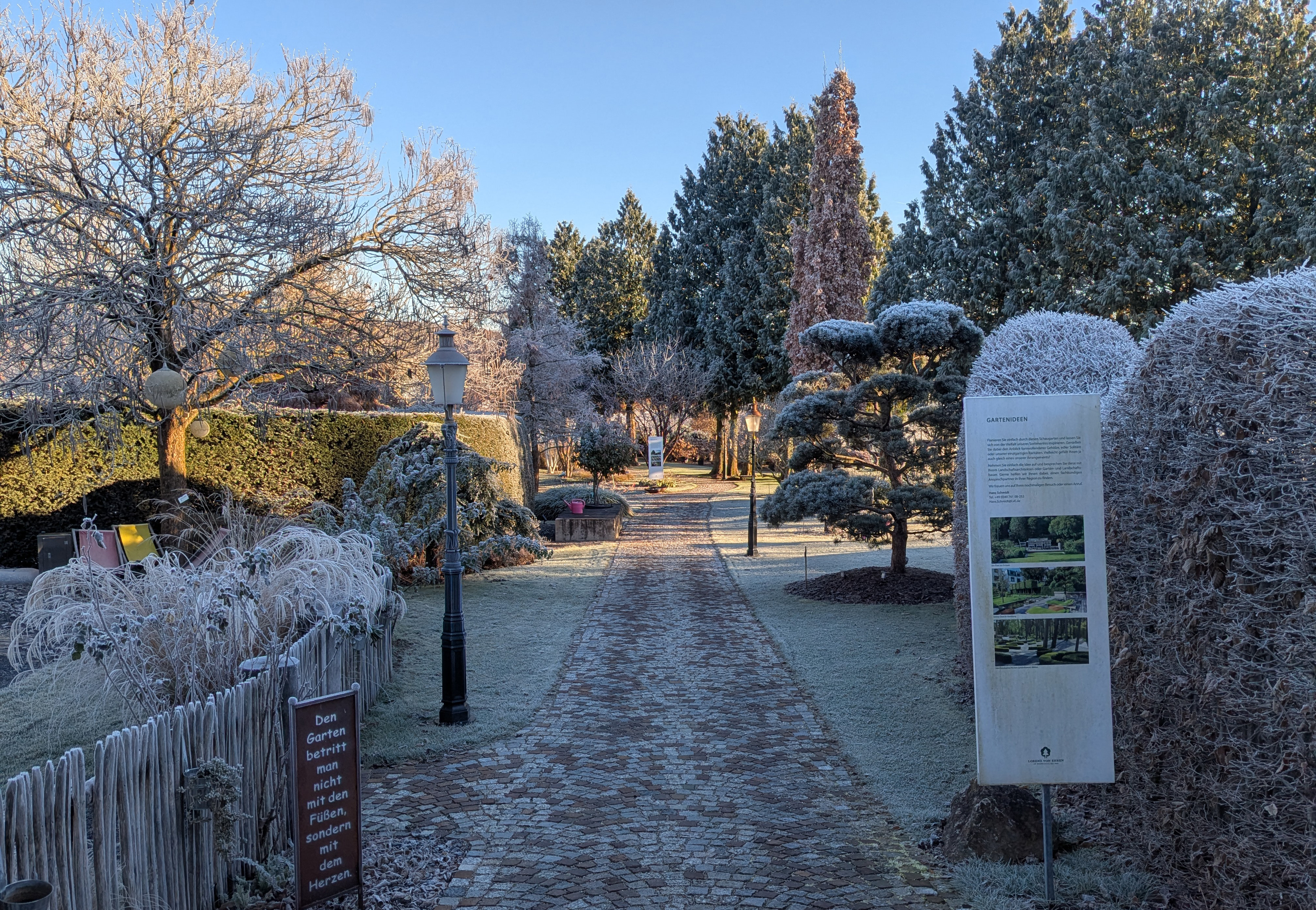 Garten im Winter mit Reif
