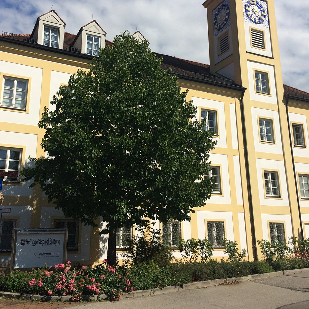 Ein großer Baum mit einer tollen Krone steht vor einem großen Gebäude mit helllgelber Fassade