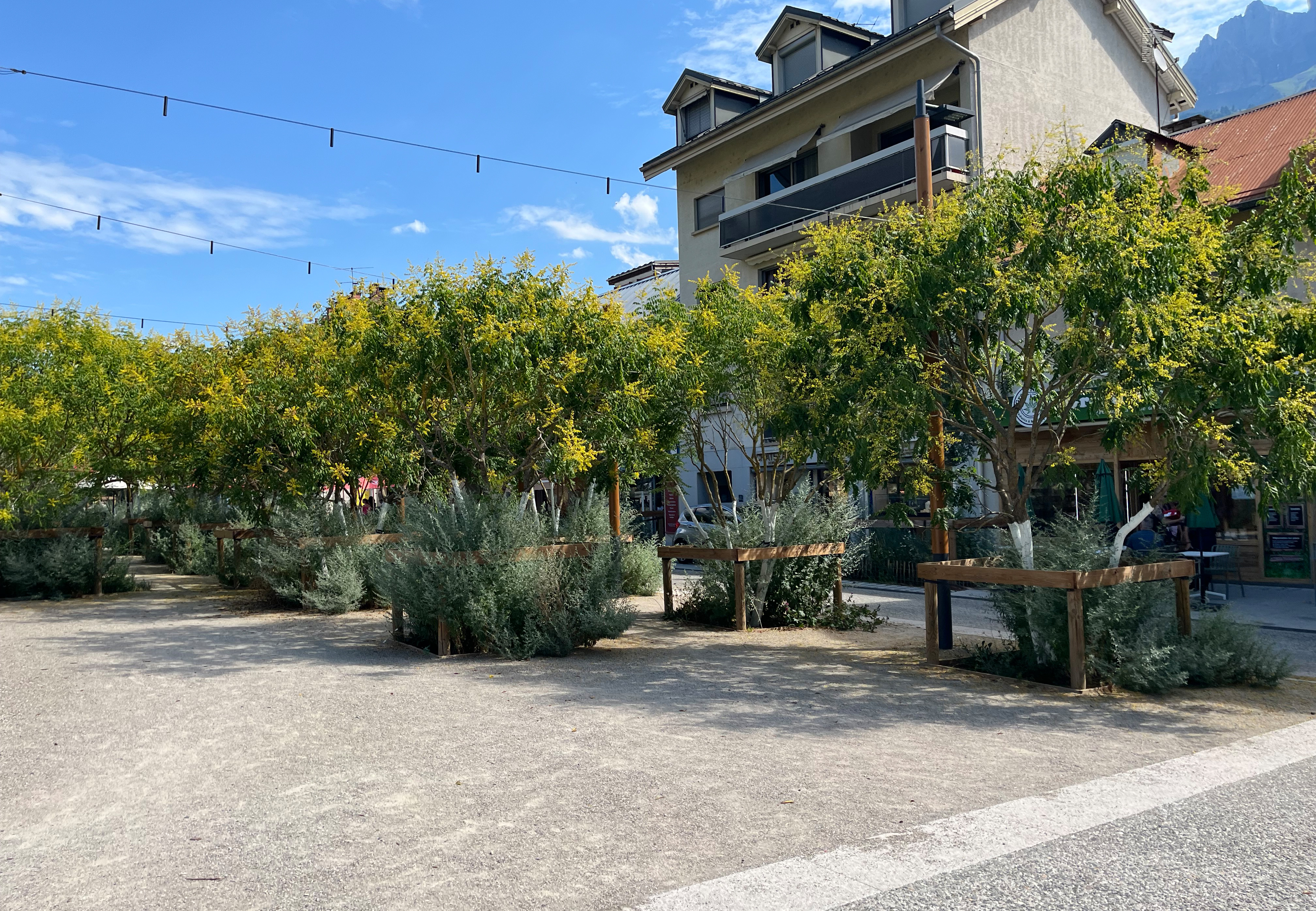 Stadtplatz mit vielen Bäumen
