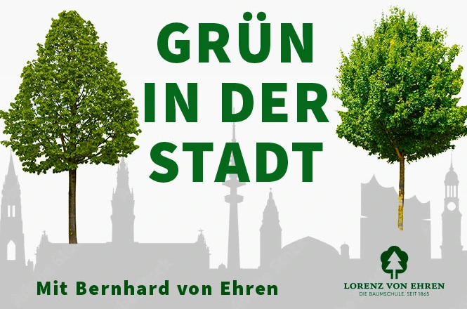 Grün in der Stadt Eine Podcast-Reihe mit Bernhard von Ehren