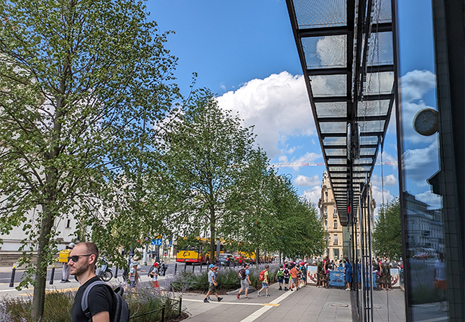 Belebte Fußgängerzone mit großen Laubbäumen