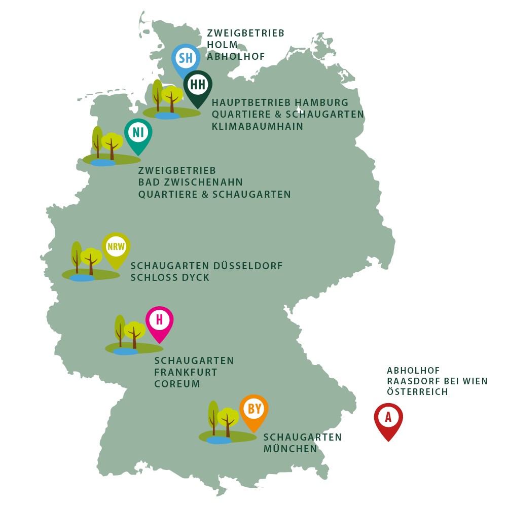 Die Standorte der Baumschule Lorenz von Ehren, einer der führenden Baumschulen Europas. Ob in Hamburg, Düsseldorf, Frankfurt, München oder Berlin, wir bieten Ihnen das gesamte Gehölzsortiment aus eigener Produktion oder als Händler.