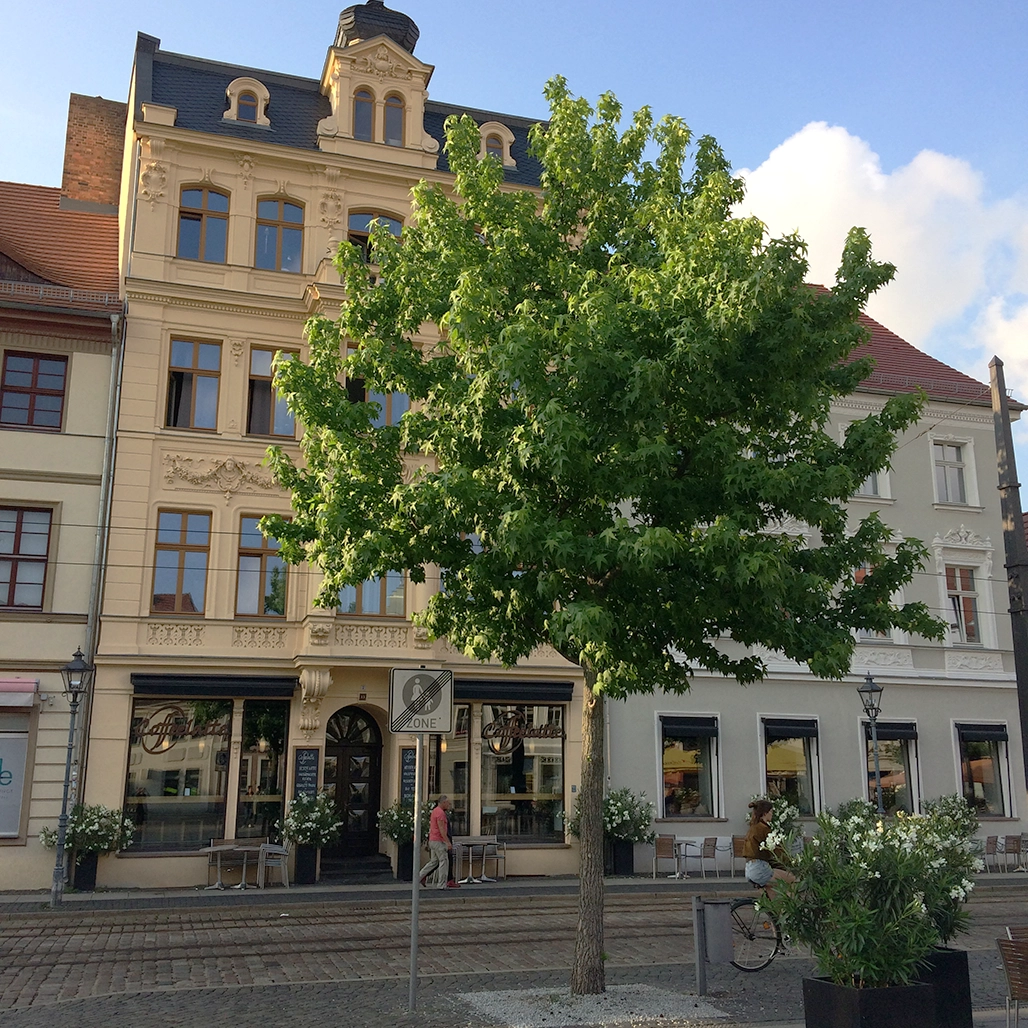 Straßenzug mit einem Haus aus der Gründerzeit davor steht ein großer Straßenbaum