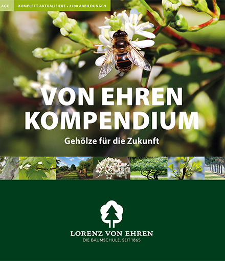 Baumschule Lorenz von Ehren