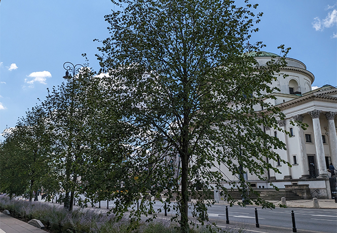 Eine große Straße in Warschau