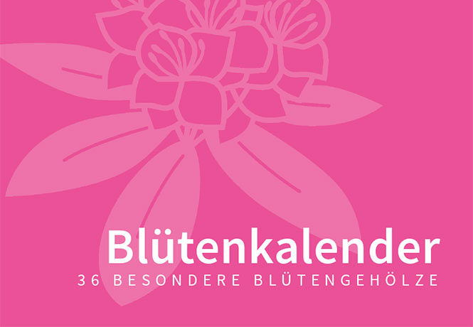 Titelbild Blütenkalender