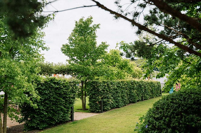Eine gepflegte Grünfläche mit Hecken.