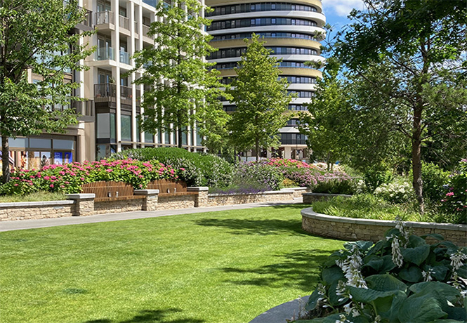 Grünfläche in einem Wohngebiet mit Bäumen